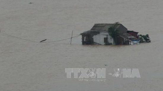 Một nhà dân tại xã Quảng Hải, thị xã Ba Đồn bị nước lũ bao vây.