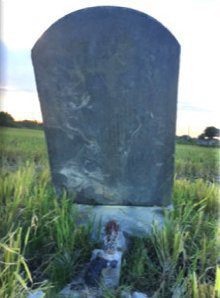 Mặt trước của tấm bia ngự trên lưng rùa đã nhạt phai theo trầm tích thời gian.