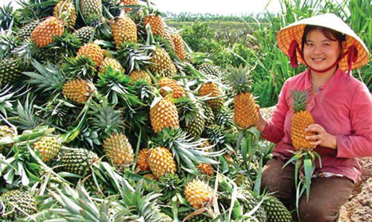 Khóm Cầu Đúc. Ảnh: Thanh Hải