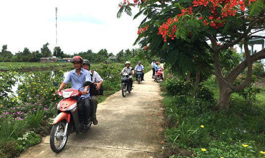 Đường liên ấp ở xã Hòa Tú 1 có nhiều hoa.