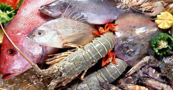 Thông tin về chất lượng hải sản tầng đáy tại vùng biển 4 tỉnh miền Trung hiện vẫn chưa được công bố thống nhất.