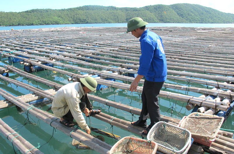 512015 phong chong dich benh