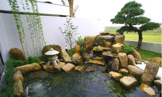 Lựa chọn phương pháp lọc nước cho hồ cá Koi