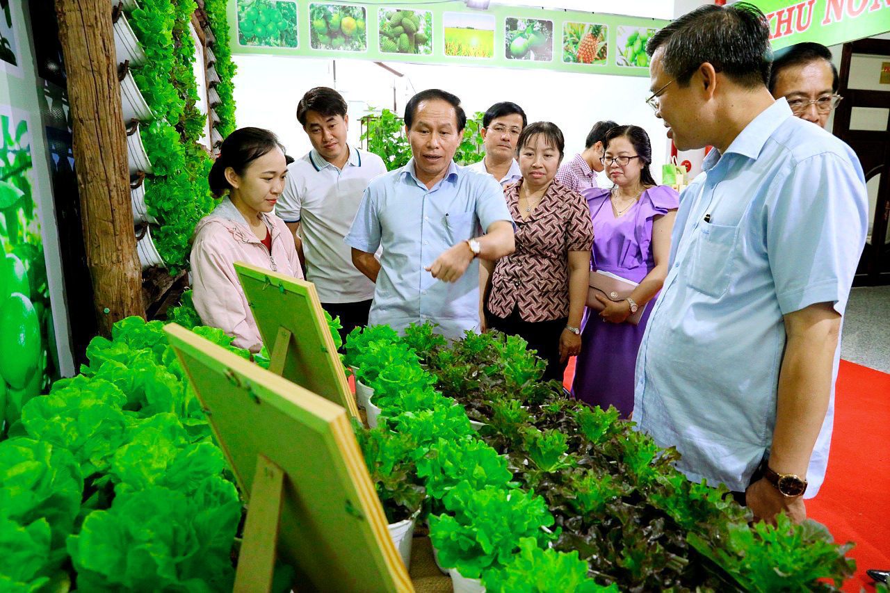 Lãnh đạo tỉnh Hậu Giang thăm gian hàng giới thiệu công nghệ tiên tiến trồng rau xanh