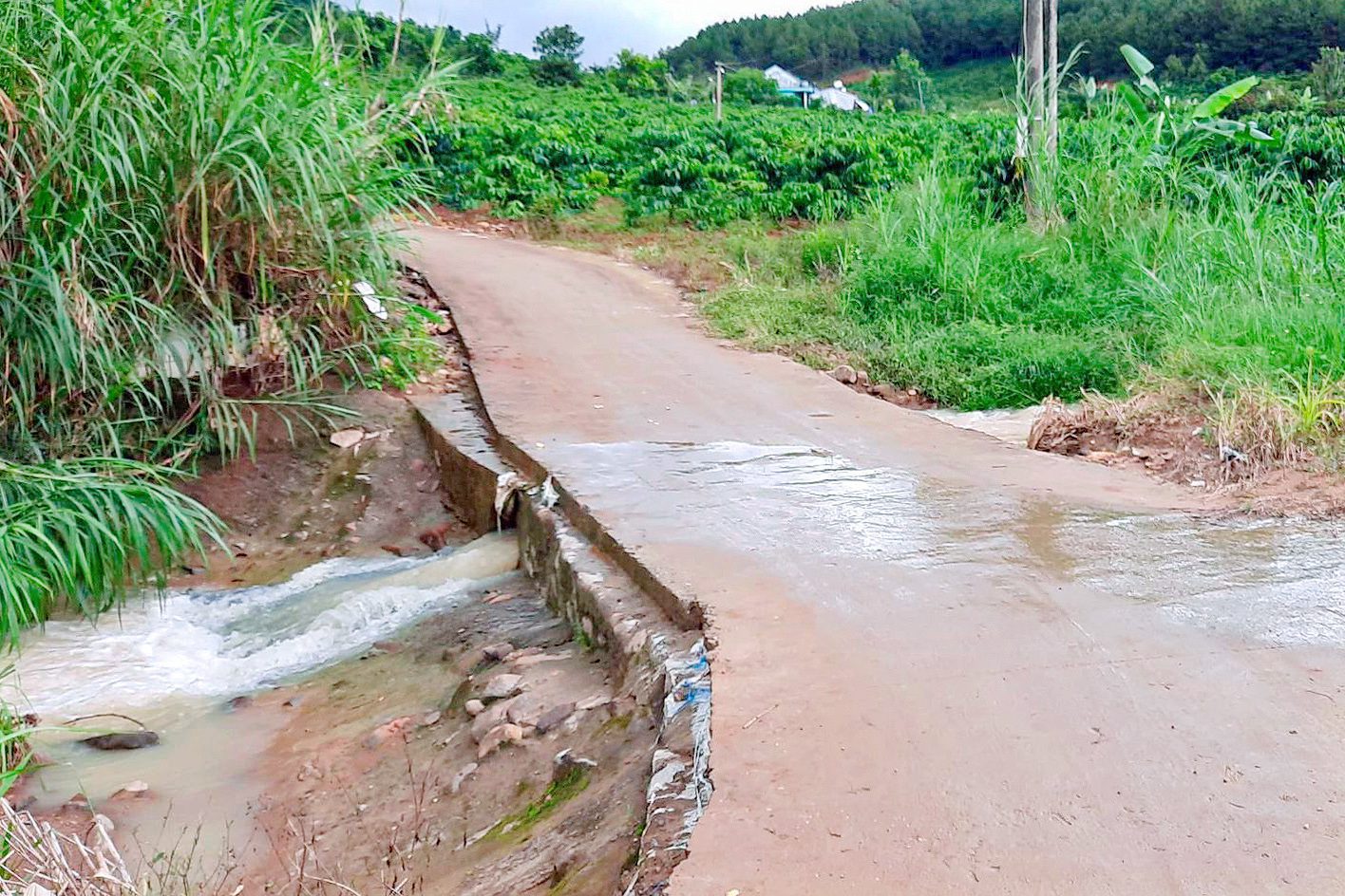 Vị trí đoạn suối nạn nhân bị tử vong do lũ cuốn