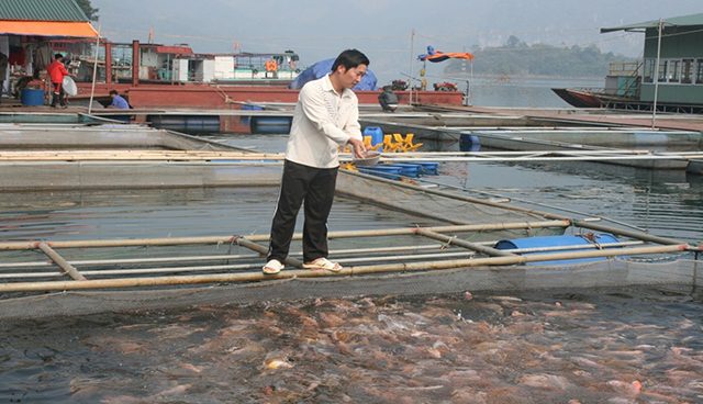 người dân nuôi cá (Hòa Bình)
