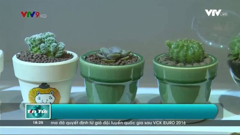 Thời sự – Doanh nghiệp trong nước trước cuộc đua mạng xã hội
