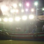 dien-quang-den-led-hai-san-2