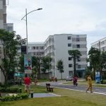 nhathunhapthap-02