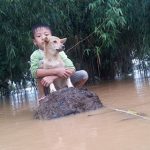 cau-be-va-chu-cho-trong-ngay-nuoc-lu-01