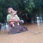 cau-be-va-chu-cho-trong-ngay-nuoc-lu