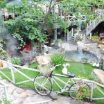 dai dien cafe dep