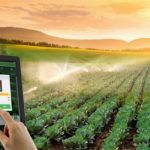 hon-100-ho-dang-ky-binh-chon-startup-viet-01