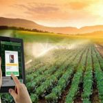 Nhiều dự án khởi nghiệp nông nghiệp công nghệ cao gửi đăng ký tham gia chương trình bình chọn Startup Việt 2016.