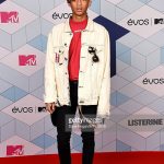 tham-ema-2016-martin-garrix-xuat-hien-cuc-dien-trai-cung-dan-sao-gioi-09