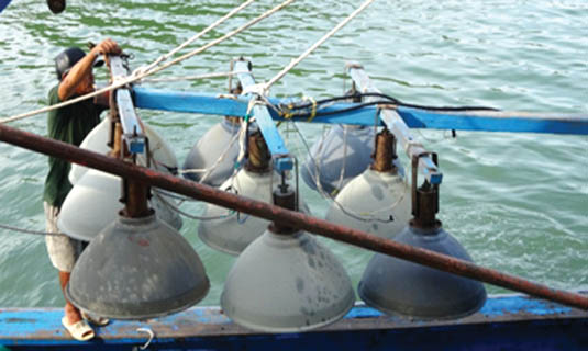 Dàn đèn pha xúc bằng đèn sợi đốt tại Bình Thuận