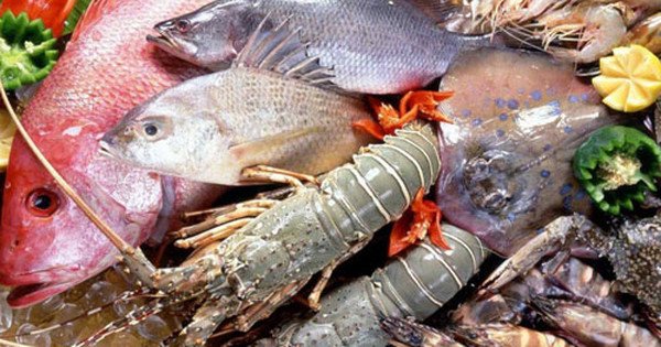 Thông tin về chất lượng hải sản tầng đáy tại vùng biển 4 tỉnh miền Trung hiện vẫn chưa được công bố thống nhất.