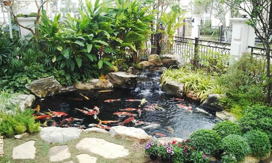 Mẫu thiết kế hồ cá koi mini hình bán nguyệt - sản phẩm của Jpparks