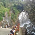 Tiếng Sáo Mèo Ru Lòng Du Khách