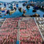 Làng Khô Biển, Sông Đốc Cà Mau. Ảnh NL