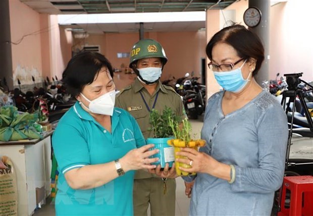 Người dân có thể chọn đổi rác nhựa lấy gạo hoặc cây xanh để trồng trong nhà. (Ảnh: Hồng Giang/TTXVN)