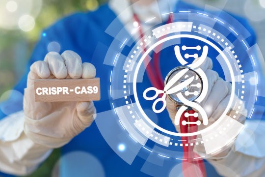 Chỉnh sửa gen CRISPR / Cas9, minh họa khái niệm (ảnh Internet).