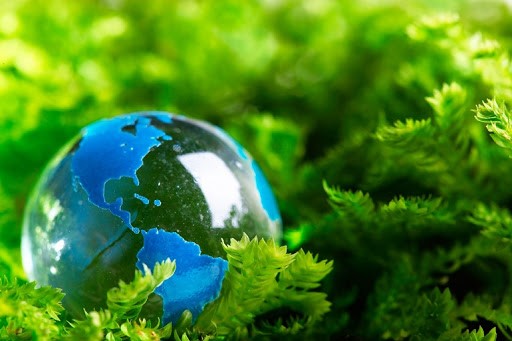 Luật bảo vệ môi trường năm 2020