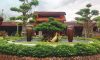 thumb_local-Recovered-7