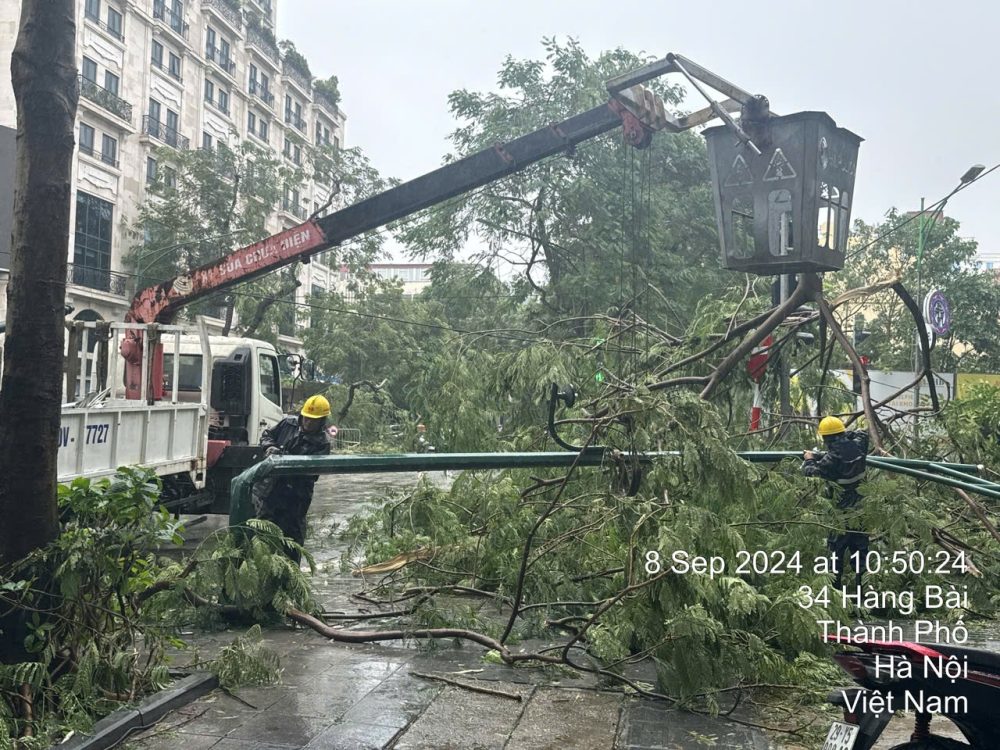 Bão Yagi, hậu quả với ngành chiếu sáng - ÁNH SÁNG VÀ CUỘC SỐNG